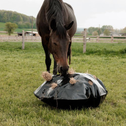 Hooinet Play & Slowfeeder Rond Grooming Deluxe van Kentucky Zwart