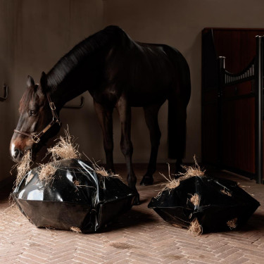 Sac à Foin Play & Slowfeeder Rond Grooming Deluxe by Kentucky Noir