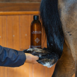 Shampoing Bubble Gum Gloss Grooming Deluxe by Kentucky Shampoing Bubble Gum Gloss Grooming Deluxe by Kentucky