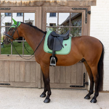 Tapis de selle Kentucky Velvet Dressage Printing Vert