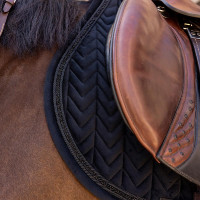 Kentucky Velvet Mini Pearls springzadelpad Zwart Kentucky Velvet Mini Pearls springzadelpad Zwart