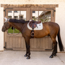 Tapis de Selle Velours Kentucky Imprimés Gris / blanc