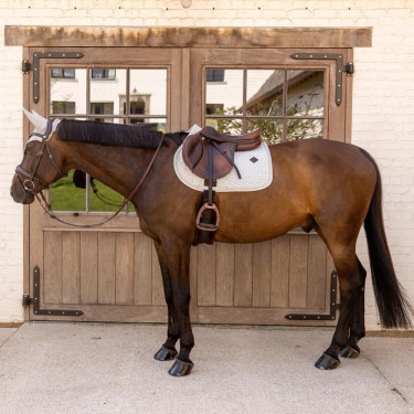 Tapis de Selle Velours Kentucky Imprimés Gris / blanc