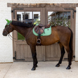 Tapis de Selle Velours Kentucky Imprimés Vert Tapis de Selle Velours Kentucky Imprimés Vert