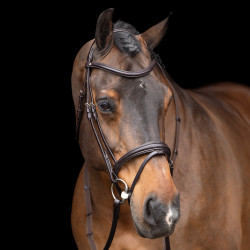 Bridon HV Polo Legacy Marron chocolat