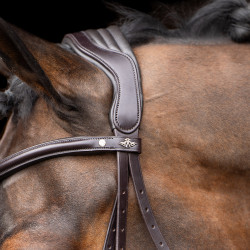 Bridon HV Polo Legacy Marron chocolat