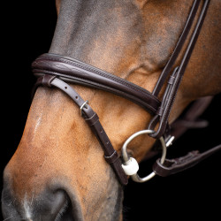 Bridon HV Polo Legacy Marron chocolat