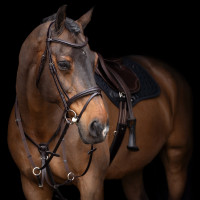 Martingaal HV Polo Legacy Chocoladebruin