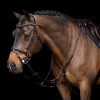 Martingale HV Polo Legacy Marron