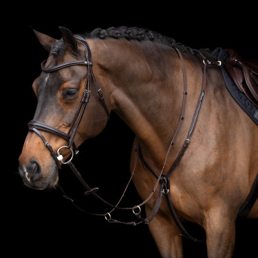 Martingale HV Polo Legacy Marron chocolat