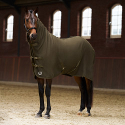 Couverture polaire avec cou Imperial Riding Fundamental Vert olive