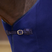 Fleece deken Imperial Riding Fundamental Vijg Violet
