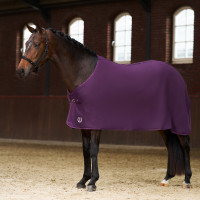 Fleece deken Imperial Riding Fundamental Basic Vijg Violet