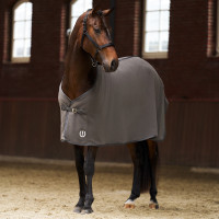 Fleece deken Imperial Riding Fundamental Basic Vijg Violet