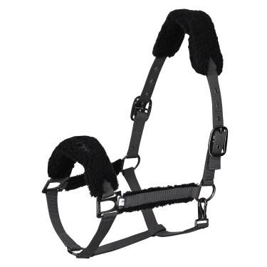 HV Polo Teddy halster Wolk Wit