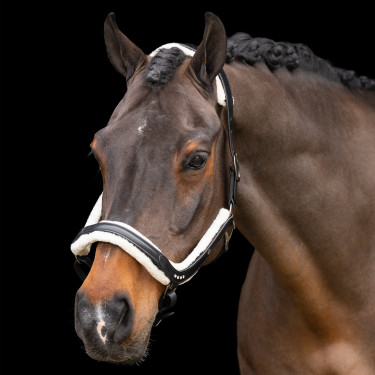 Halster Imperial Riding Luxury Zwart Halster Imperial Riding Luxury Zwart