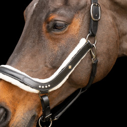Halster Imperial Riding Luxury Zwart Halster Imperial Riding Luxury Zwart