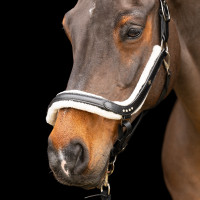 Licol Imperial Riding Luxury Noir