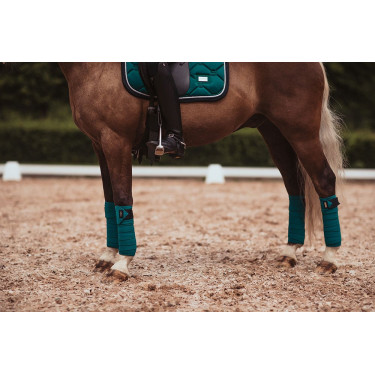 Bandes de polo Equestrian Stockholm Émeraude Vert