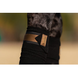 Bandes de polo Equestrian Stockholm Laiton doré