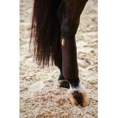 Bandes de polo Equestrian Stockholm Marron doré