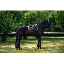 Bandes de polo Equestrian Stockholm Marron doré