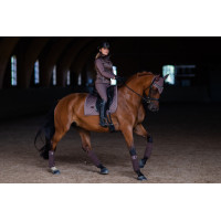 Antivliegen-oornetje Equestrian Stockholm Helemaal zwart glanzend Antivliegen-oornetje Equestrian Stockholm Helemaal zwart glanzend