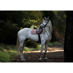 Bonnet anti-mouches Equestrian Stockholm Rose poussiéreux