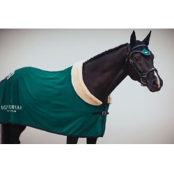 Antivliegen-oornetje Equestrian Stockholm Smaragd Groen Antivliegen-oornetje Equestrian Stockholm Smaragd Groen