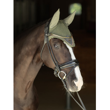 Antivliegen-oornetje Equestrian Stockholm Opvallende vallei Antivliegen-oornetje Equestrian Stockholm Opvallende vallei