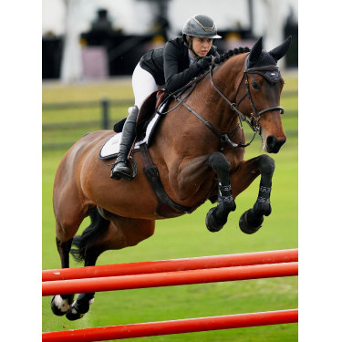 Anti-vliegensjabrak Equestrian Stockholm met geluiddemping Donker oceaan Marineblauw