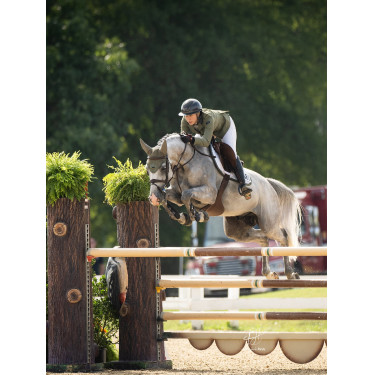 Anti-vliegensjabrak Equestrian Stockholm met geluiddemping Opvallende vallei