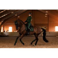 Vliegenmasker Equestrian Stockholm Performance Zwart