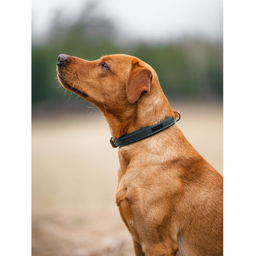 Collier pour chien Equestrian Stockholm clean Collier pour chien Equestrian Stockholm clean