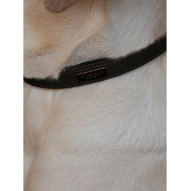Collier pour chien Equestrian Stockholm clean Moonless night Collier pour chien Equestrian Stockholm clean Moonless night