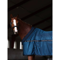 Mesh Cooler Deken Equestrian Stockholm Prarie blauw