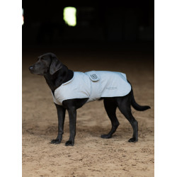 Honden deken Equestrian Stockholm Reflective Glanzend zwart