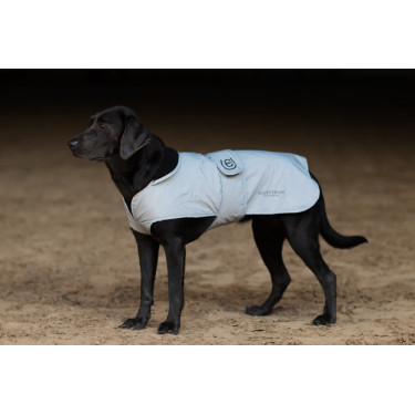 Honden deken Equestrian Stockholm Reflective Glanzend zwart