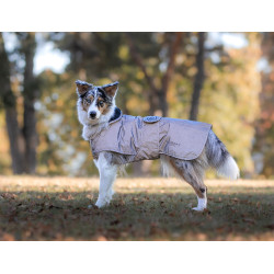 Couverture pour chien Equestrian Stockholm Reflective Noir lumineux Couverture pour chien Equestrian Stockholm Reflective Noir lumineux