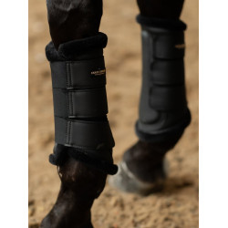 Dressuurbeschermers Equestrian Stockholm Goudzwart