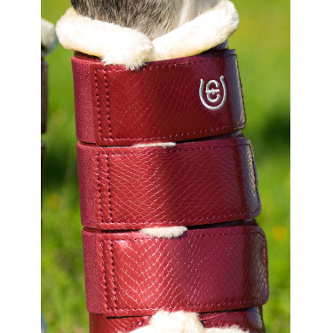 Dressuurbeschermers Equestrian Stockholm Bordeaux