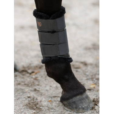 Dressuurbeschermers Equestrian Stockholm Donker hemel