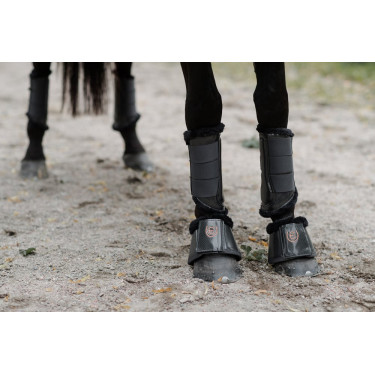 Dressuurbeschermers Equestrian Stockholm Donker hemel