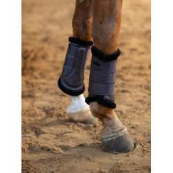 Dressuurbeschermers Equestrian Stockholm Donkerpaars Violet