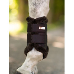 Dressuurbeschermers Equestrian Stockholm Maanloze nacht Bruin