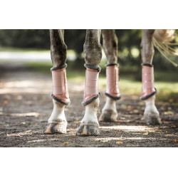 Guêtres de dressage Equestrian Stockholm Rose Guêtres de dressage Equestrian Stockholm Rose