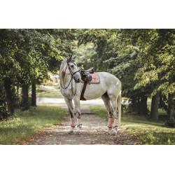 Guêtres de dressage Equestrian Stockholm Rose Guêtres de dressage Equestrian Stockholm Rose