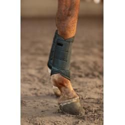 Guêtres de dressage Equestrian Stockholm mesh Vert avenue