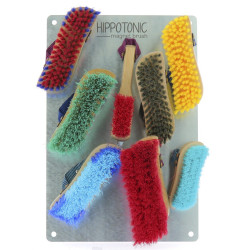 Hippo-Tonic Magnet Brush Plaque Hippo-Tonic Magnet Brush Plaque