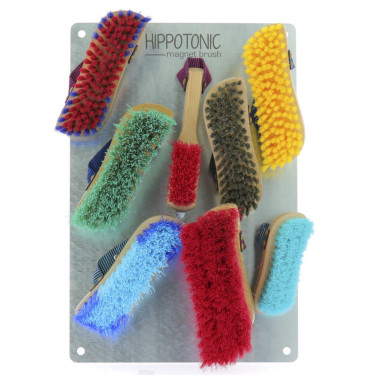 Plaque Hippo-Tonic Magnet Brush Plaque Hippo-Tonic Magnet Brush